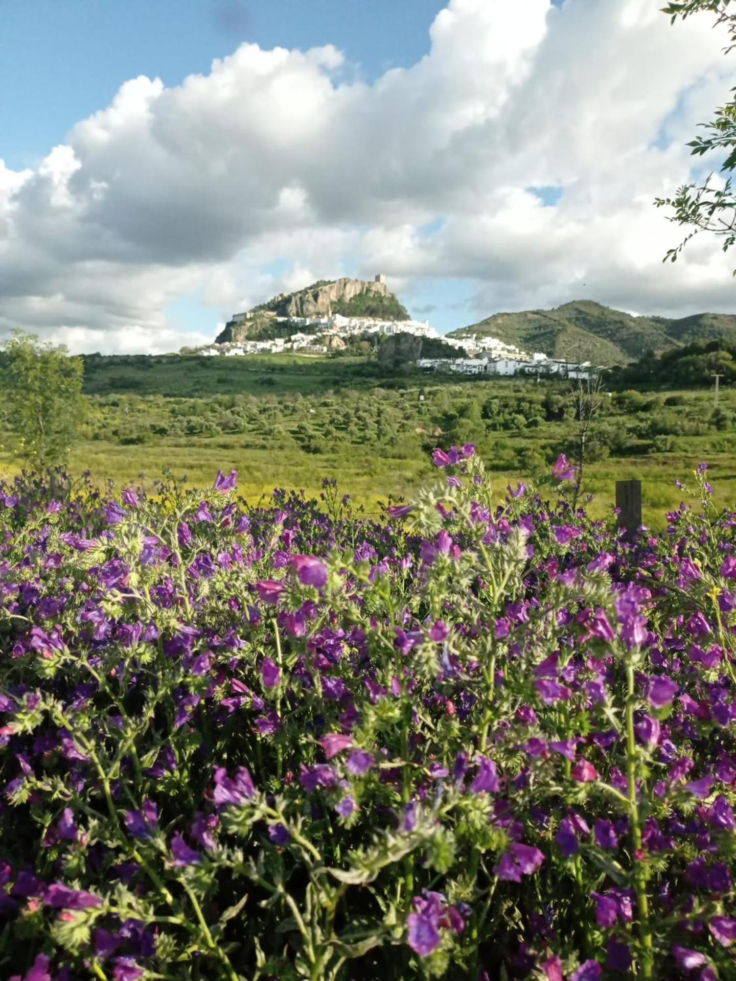 El Detalle Apartamento Y Estudio Zahara De La Sierra Bagian luar foto